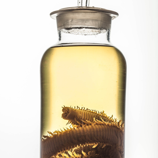 IES_SANISIDRO_MUSEO_BOTES_042