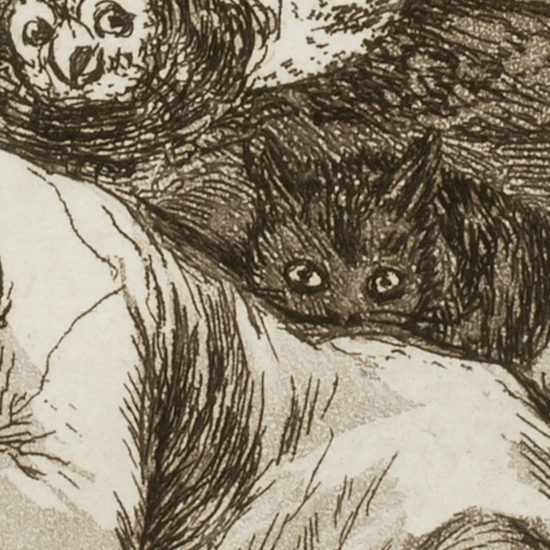 Los Caprichos en detalle 18