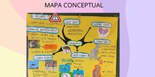 mapa canguros