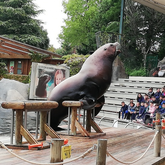 FAUNIA. 5º curso 25