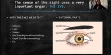 SIGHT INTRODUCTION