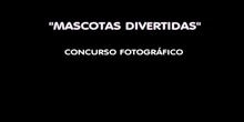 Concurso "Mascotas divertidas"