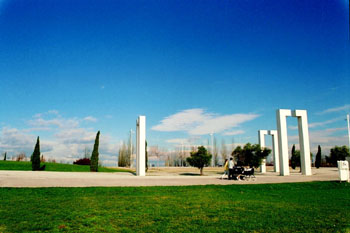 Composiciones artísticas en un parque