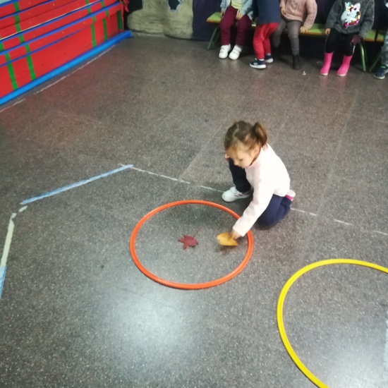 Día 05 de noviembre 18