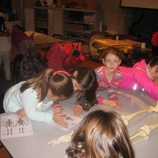 VISITA AL MUSE DE CIENCIAS 3ºA 21