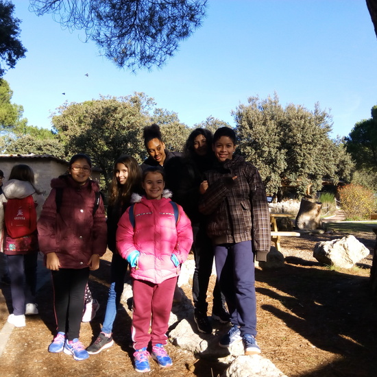 VISITA A GREFA. 5º CURSO 3