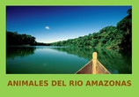 Animales del río Amazonas