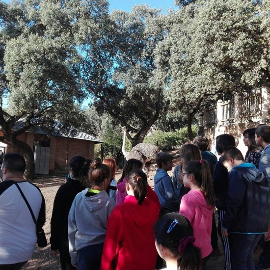 Mohernando 2017_3 45