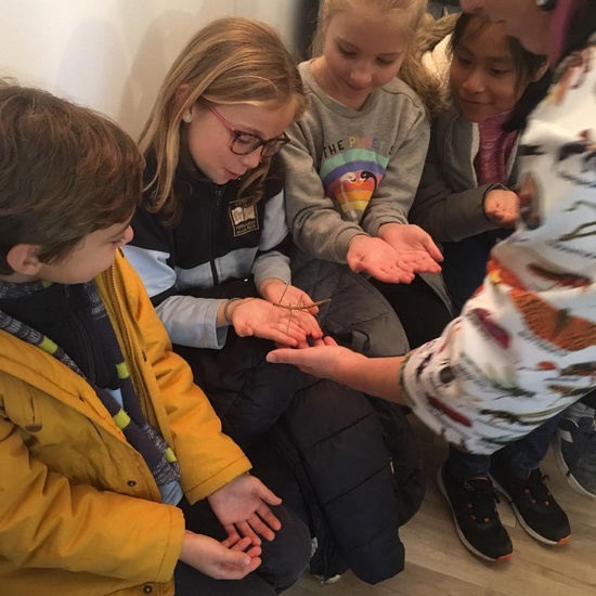 2020_02_27_3º visita Insectpark (1)_CEIP FDLR_Las Rozas 16