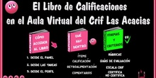 Tutorial: Libro de Calificaciones