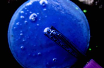 Pincel y pintura azul