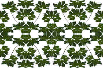 Seriación de simetrías en verde