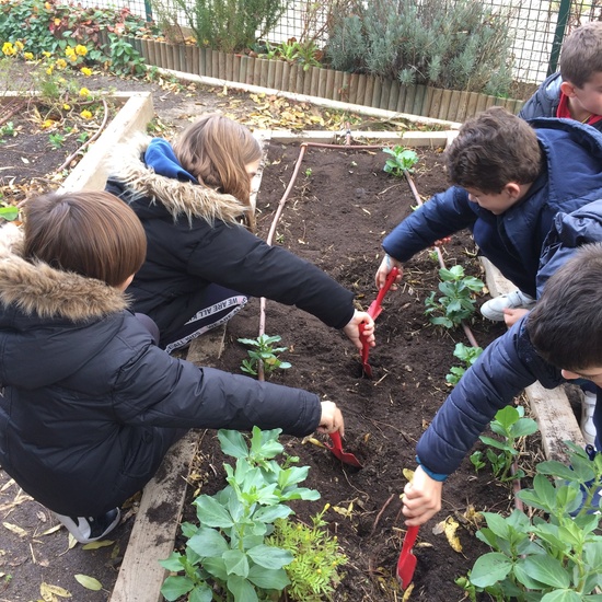 2020_01_07_el huerto en diciembre_CEIP FDLR_Las Rozas 5