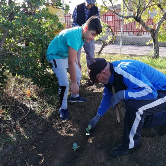 Huerto escolar 2019/20 4
