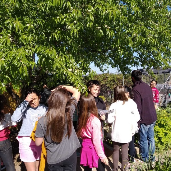 2019_04_Quinto en el huerto_CEIP FDLR_Las Rozas 4