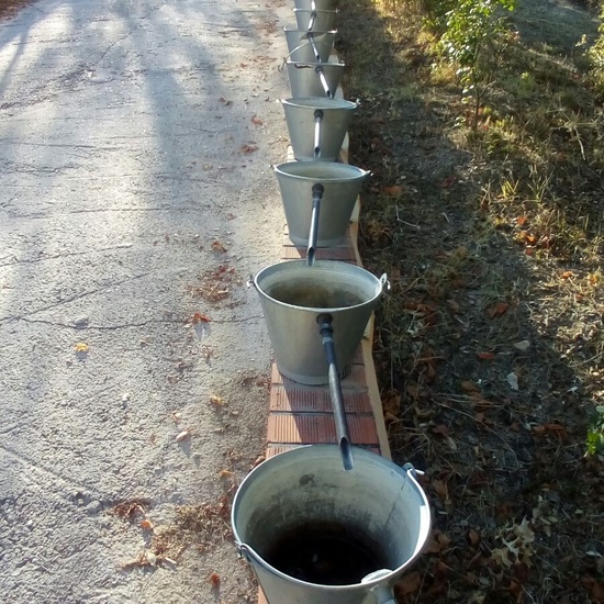 Granja Escuela 1º y 2º EP 2017-18 17