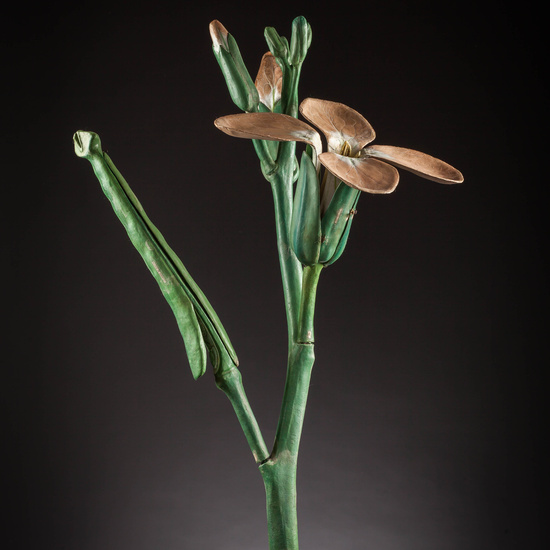 IES_SANISIDRO_MUSEO_Botanica_045