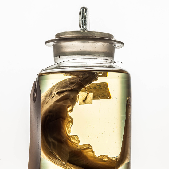 IES_SANISIDRO_MUSEO_BOTES_028