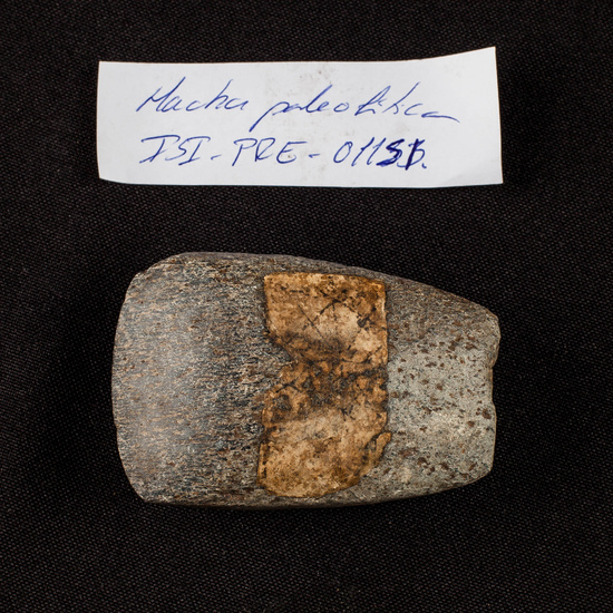 IES_SANISIDRO_MUSEO_Prehistoria_010