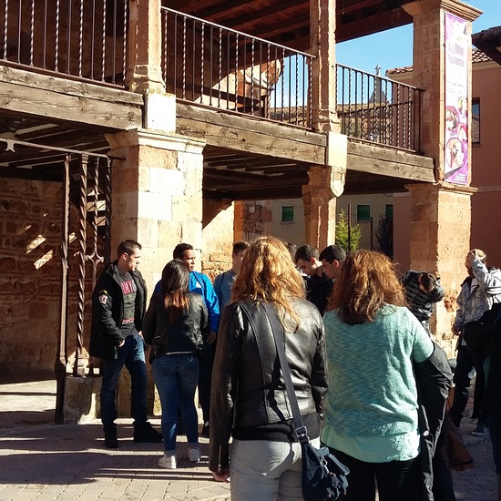 Fotos excursión Ayllón 3