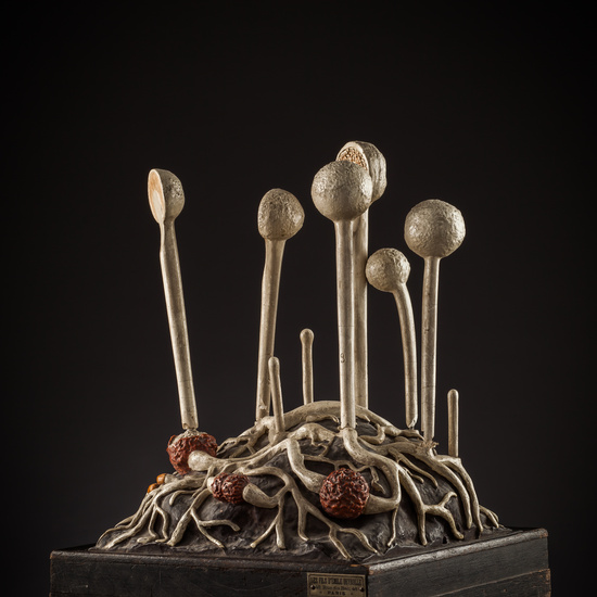 IES_SANISIDRO_BIOLOGIA_189