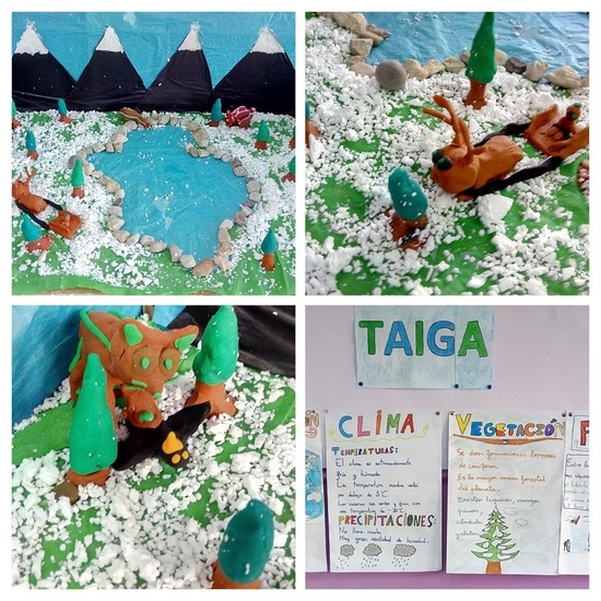 ECOSISTEMAS 5º CURSO 2