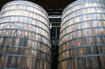 Barriles de la Cooperativa Agrícola de Falset-Marcá, Tarragona