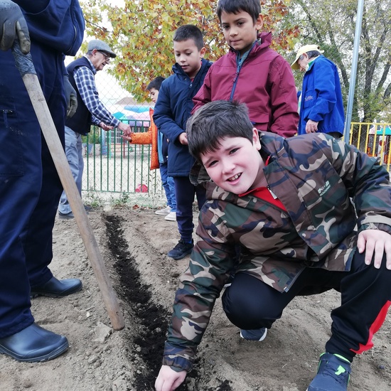 Huerto escolar 2019/20 49