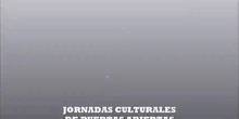 Jornadas culturales 2013-14