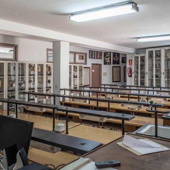 IES_SANISIDRO_EDIFICIO_038