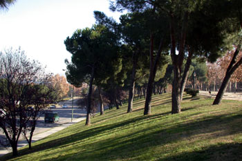 Pradera de San Isidro, Madrid