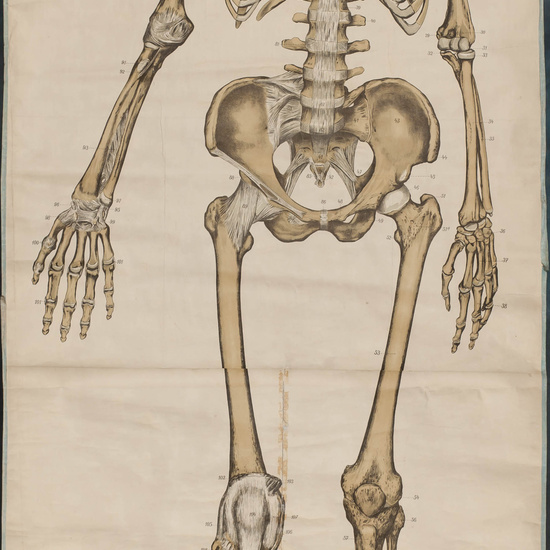 IES_SANISIDRO_LAMINAS_045