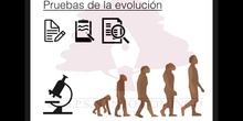 SECUNDARIA 4º	BIOLOGÍA Y GEOLOGÍA	PRUEBAS DE LA EVOLUCIÓN
