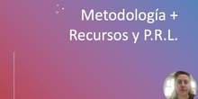 Metodologia Proyecto