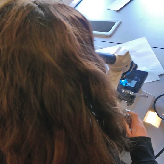 PW 6º IES PARQUE LISBOA 2019-2020 20