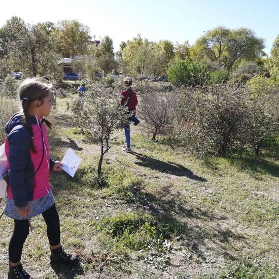 Salida Bosque Sur.3º de Primaria. Octubre 2019 21