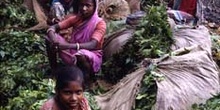 Mercado de verduras, Calcuta, India