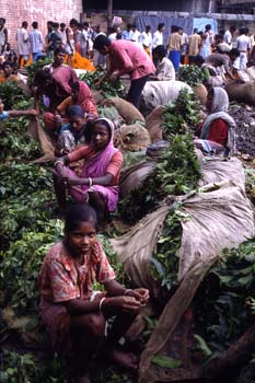 Mercado de verduras, Calcuta, India
