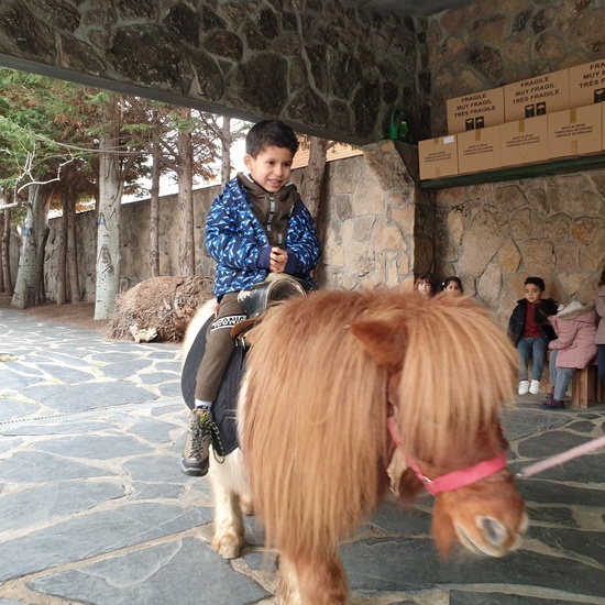 Excursión a la granja (Infantil) 12