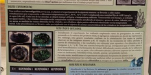 Termoquímica de la cristalización (cartel explicativo)