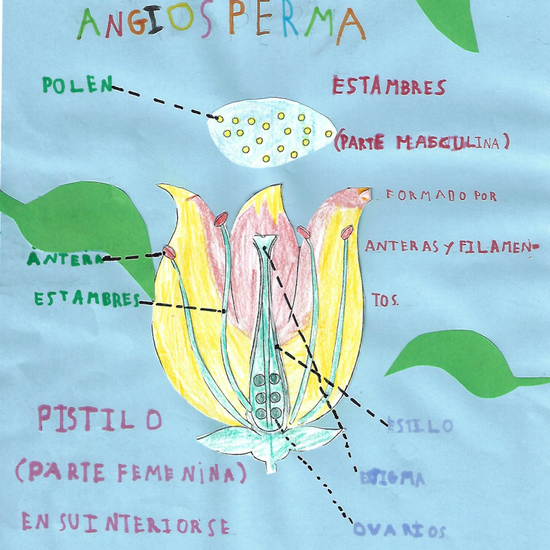 jUAN_aNTONIO_mASEDO_PLANTS