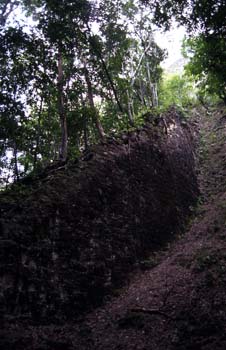 Vegetación invadiendo la escalinata de una pirámide, Tikal, Guat