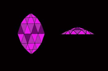 Talla rosa en navette