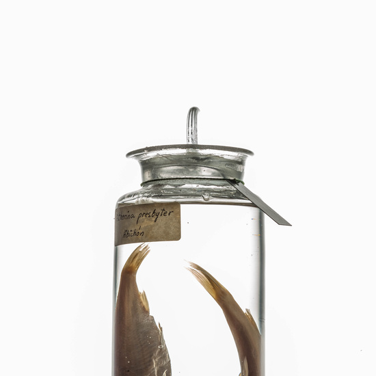 IES_CARDENALCISNEROS_CIENCIASNATURALES_105