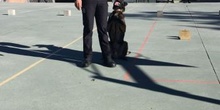 La Unidad Canina de la Policia Municipal de Las Rozas visita el cole_2_CEIP FDLR_Las Rozas_2017  5