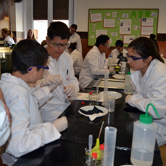 Proyecto de Aprendizaje y Servicio  8