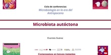 Microbiota autóctona