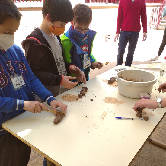 JORNADAS TEMÁTICAS 2021 