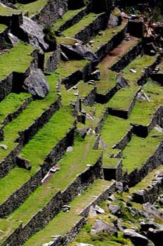 Terrazas en Machu Pichu, Perú