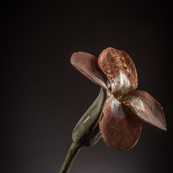 IES_ISABELLACATOLICA_BIOLOGIA_130